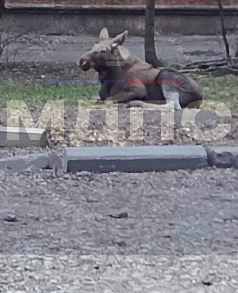 CufXnd5LMctxiaZB-ukFfeLFYuULZzioZJBpVNhLBIYYOkvPxC2su3R1rT3eu39v0sZj83paY0mwwkOHohEMyUDL (1).jpg