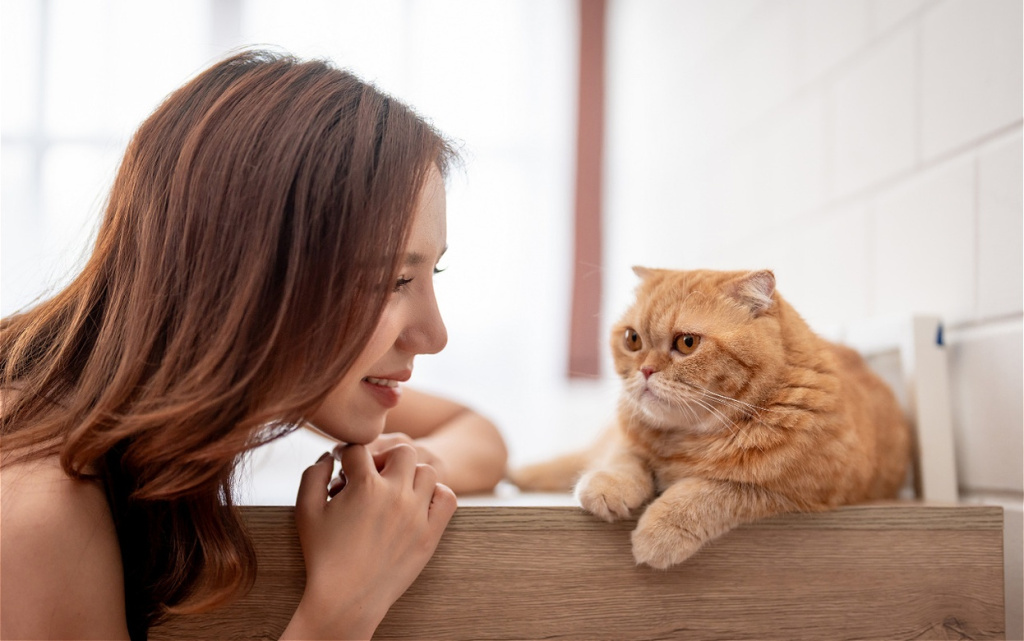 woman-and-orange-cat-relaxing-indoors-2026-03-24-23-07-03-utc (1).jpg