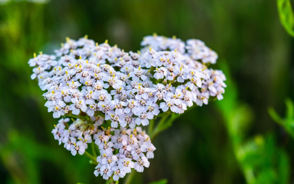 aIUTC2Y4fE22HCPFZ43g-hKvmoG9b1uZKVJlnO_Kz7lWpoc5B6tOM4kGt5hLqo4QoQ1XHOJCZJwyV6Q43dRQ7dSE (1).jpg