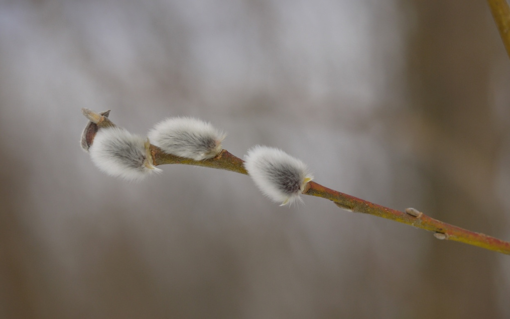 AIP47Ets-leKX91-bmLCArLuON2HHBVdyKJc9z4Uu7W9B_2ZDCyHLnQyJa5mo83uXy8HDLnONVdaQeZ35yApmSMD (1).jpg