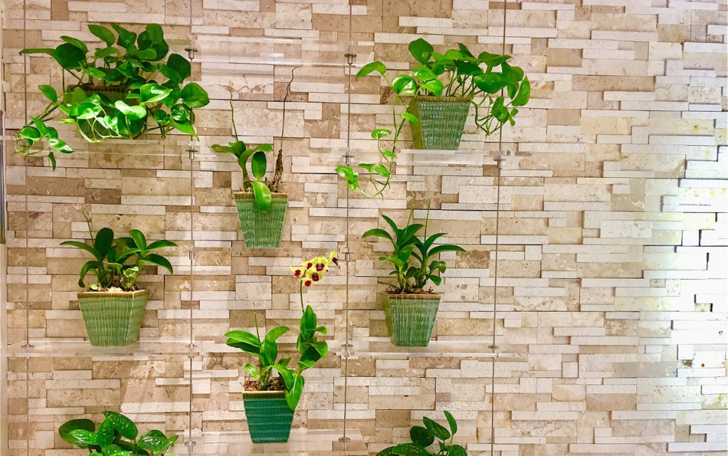 green-potted-plants-arranged-on-wall-2026-03-18-05-03-13-utc (1).jpg