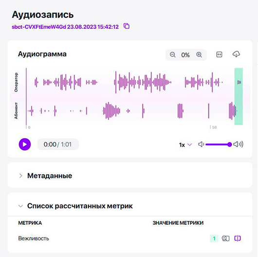 Ростелеком_Аналитика_речи.jpg