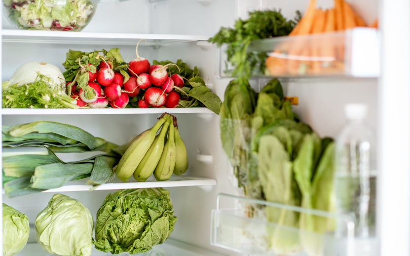 refrigerator-full-of-fresh-vegetables-and-fruits-2023-11-27-05-23-02-utc.jpg