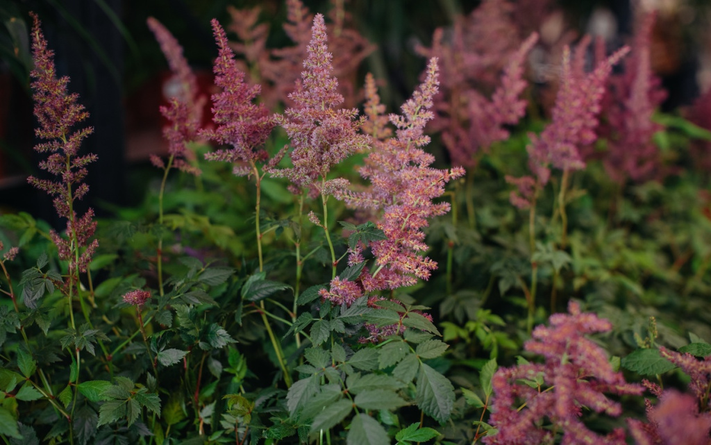 yg-aPfiQeoyuA1a6YiAhYvfs58uTHT18mx18X8NbHRkPgTUkqJoQ4cZxLUKbDr1hoPIXPYucCnsaTjqMnkeOX2eI (1).jpg