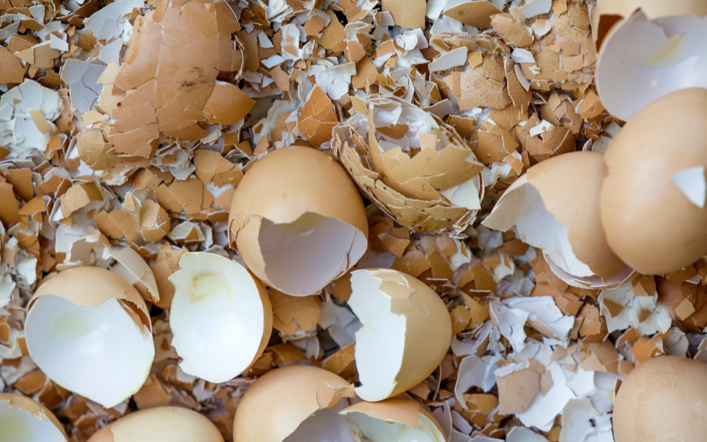 pUZxeWPA2kW13_I-UqEdUAiGnA__FOwKexnY8LRm80CO0la-hJvttO2thS0k8ytjpjHxonSIpHpEblQe6wwDFhqm (1).jpg