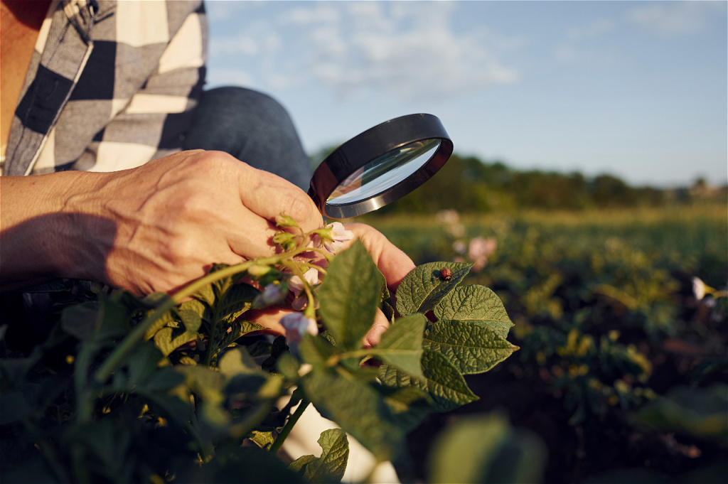 using-magnifying-glass-woman-is-on-the-agricultur-2026-03-24-05-19-58-utc.jpg