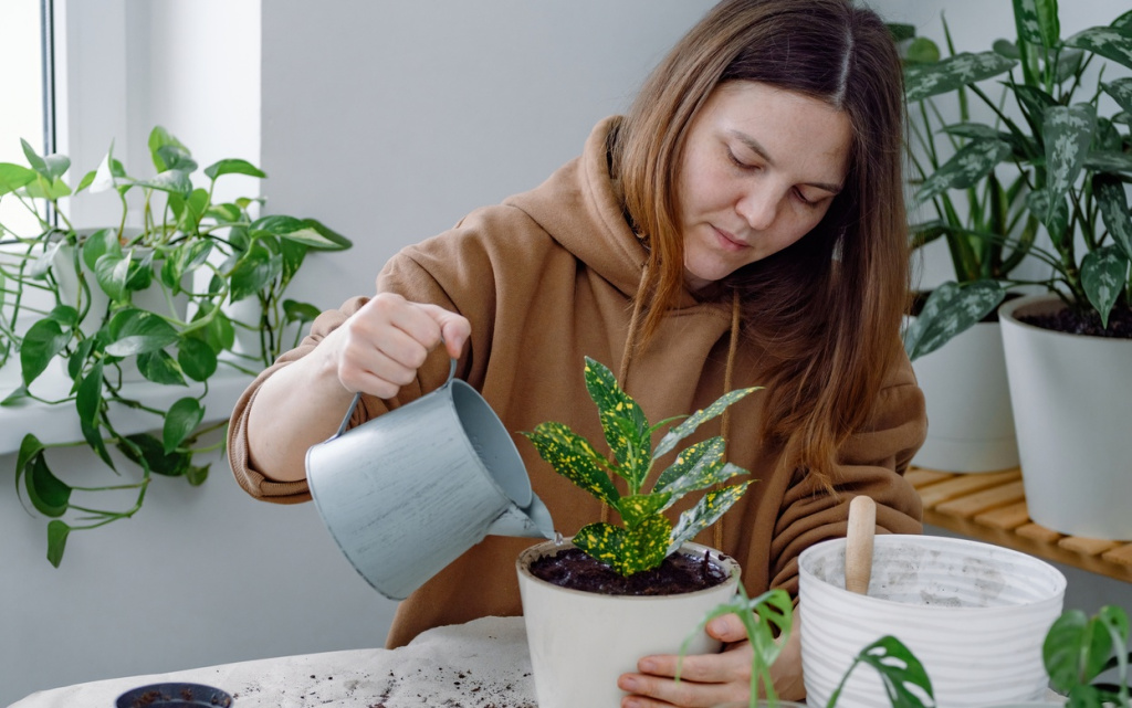 woman-watering-houseplant-with-watering-can-at-hom-2026-01-05-05-00-20-utc (1).jpg