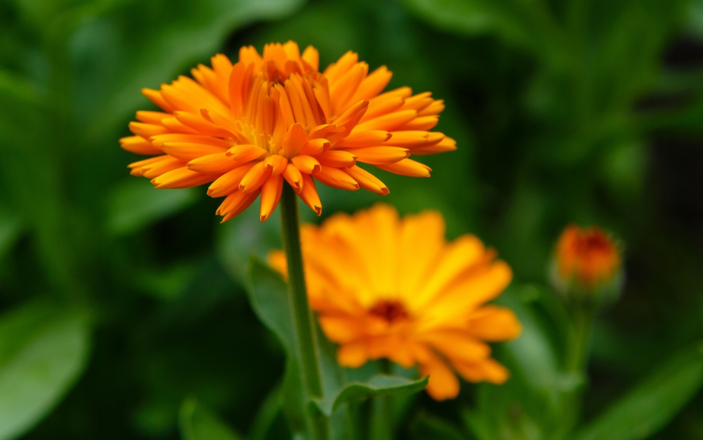 kZ7jKOMjYyCE_sLUr8B_wuVBah7ITje20W5SJ_pmRRW7M11NJcn6JvZSMNAMnRF4rczuDG_ltYnE3gMBckUcEgJ7 (1).jpg