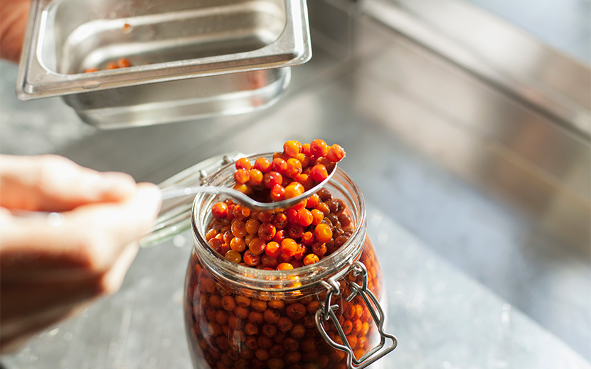 close-up-of-chef-s-hand-removing-rowan-berries-fro-2023-11-27-05-30-05-utc.jpg