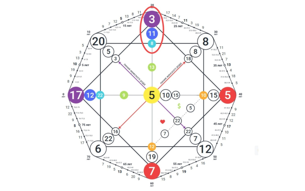 таланты (1).jpg