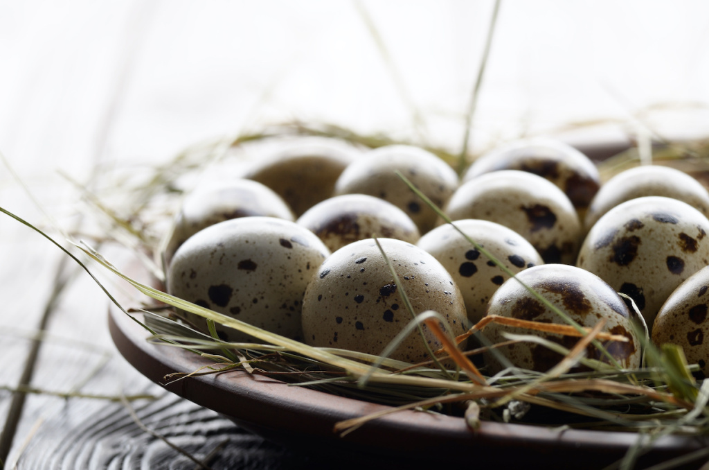 fresh-organic-quail-eggs-in-clay-plate-on-wooden-r-2026-01-08-07-00-38-utc.jpg