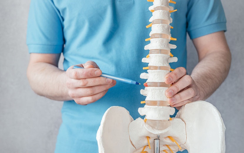 Фото: elements.envato.com