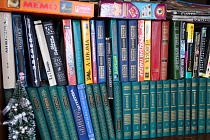 «Травница» и «Звездная Кровь» возглавили рейтинг популярных книг среди жителей Удмуртии