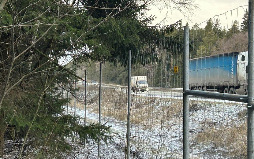 Фото: пресс-служба Главы и правительства Удмуртии