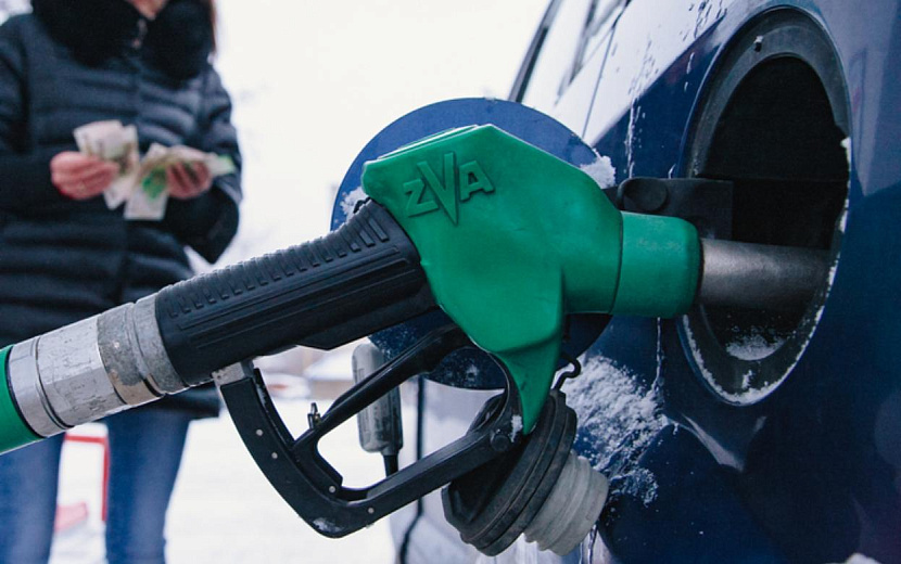 Фото: Сергей Грачев 