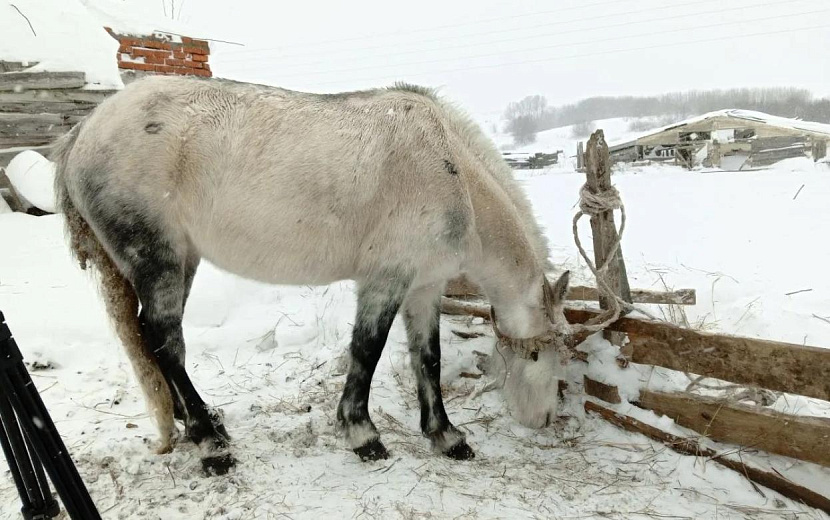 Фото: vk.com/vetuprur