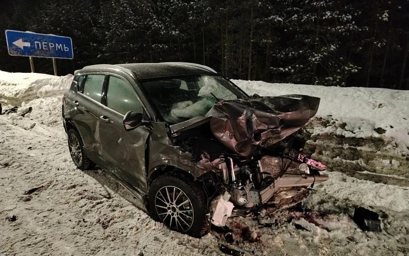 Фото: Госавтоинспекция Удмуртии