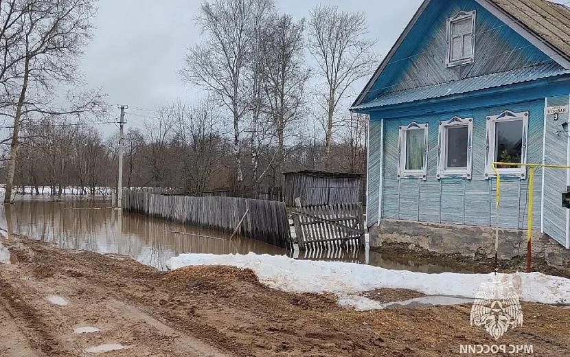 Фото: пресс-служба ГУ МЧС по Удмуртии