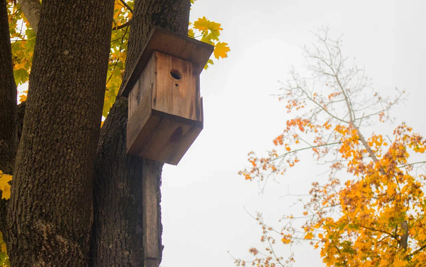 Фото: Данил Иванов