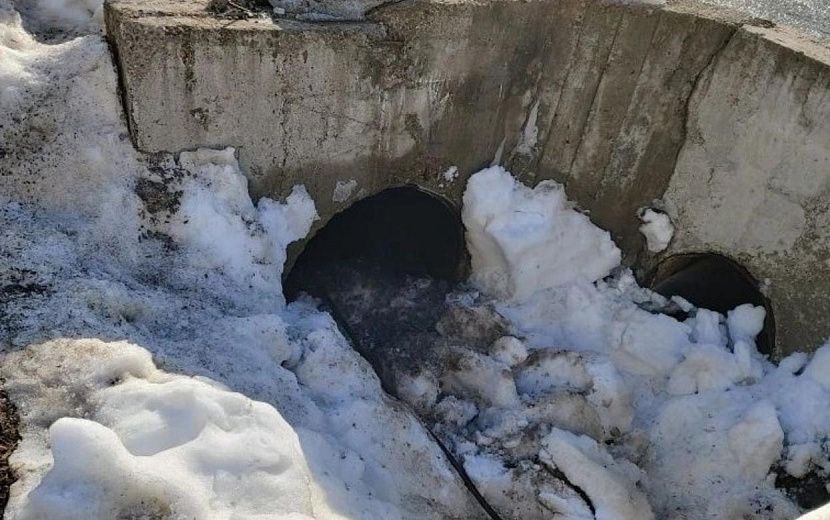 Фото: Дмитрий Чистяков