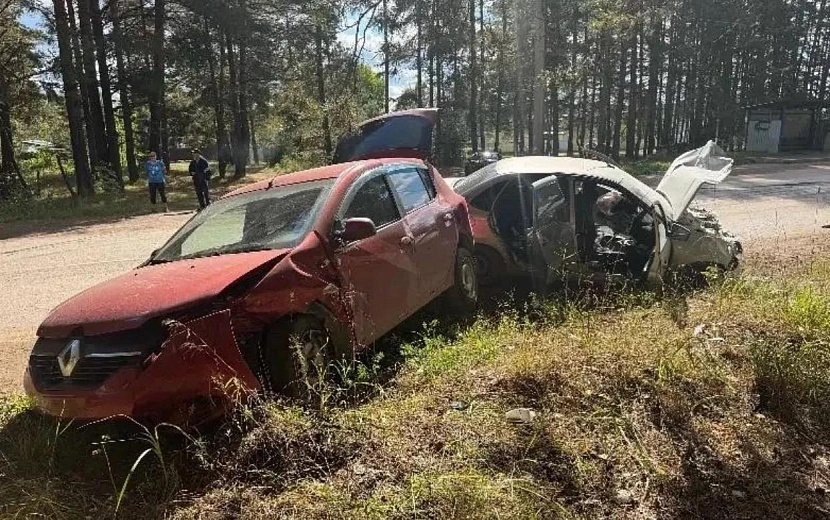 Фото: Госавтоинспекция Удмуртии