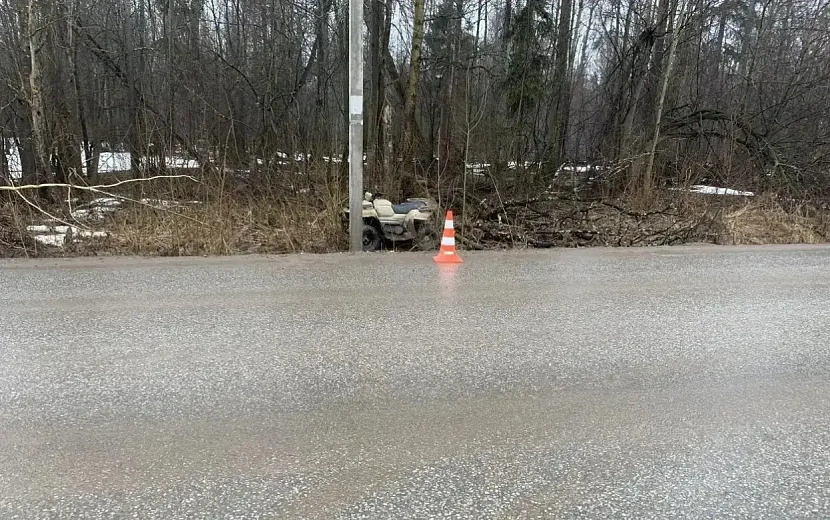 Фото: Госавтоинспекция Удмуртии