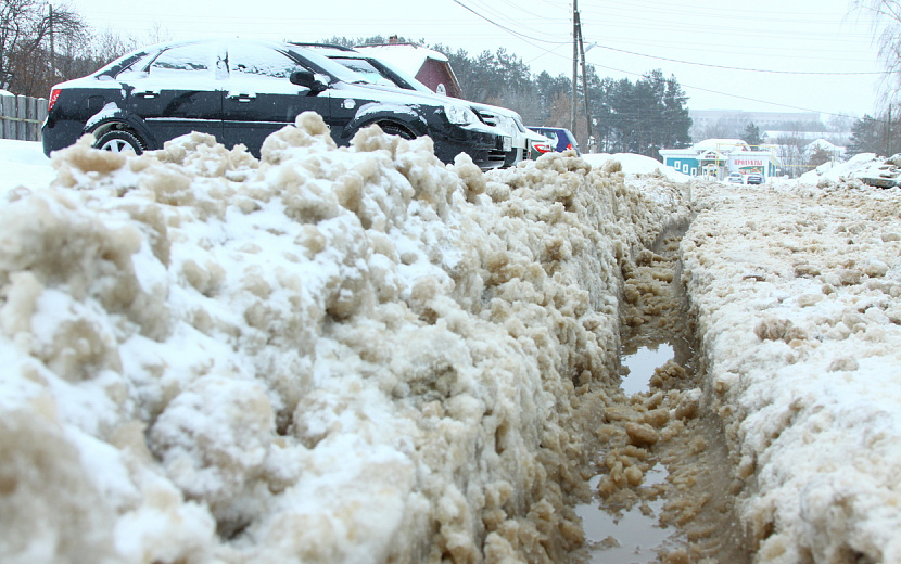 Фото: Сергей Грачев