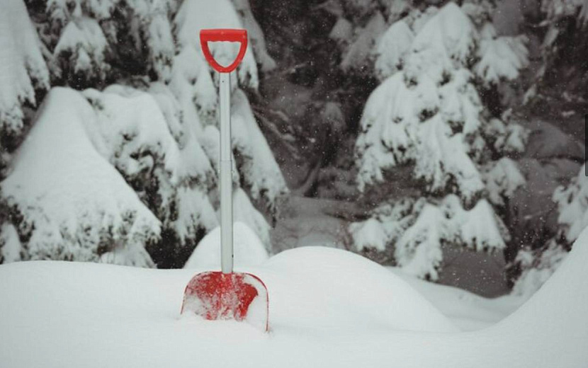 Фото: freepik.com