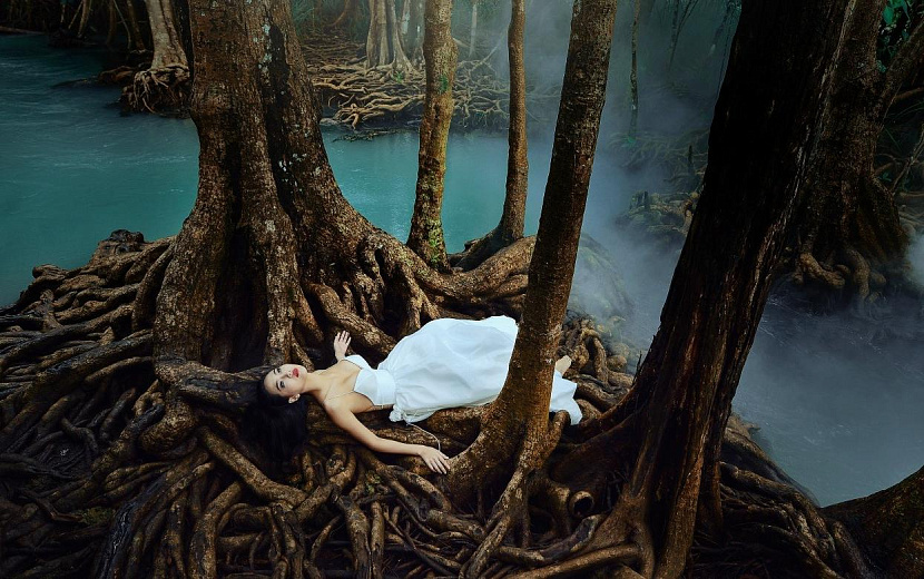 Фото: https://elements.envato.com/