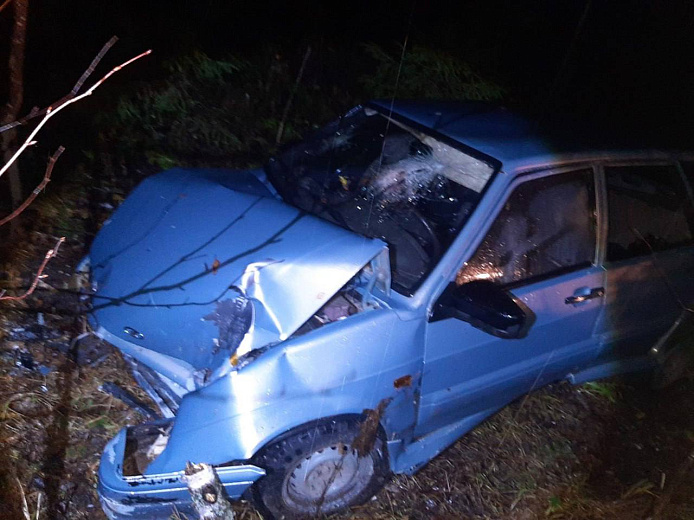 Фото: Госавтоинспекция Удмуртии