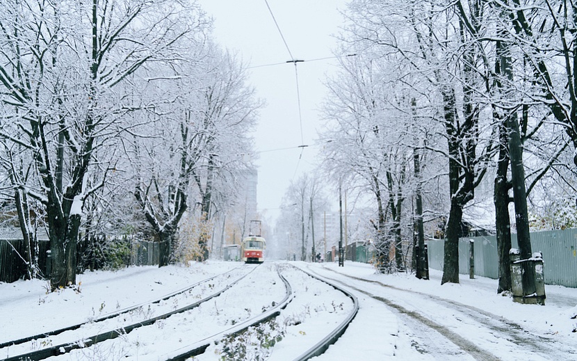 Фото: Маша Бакланова