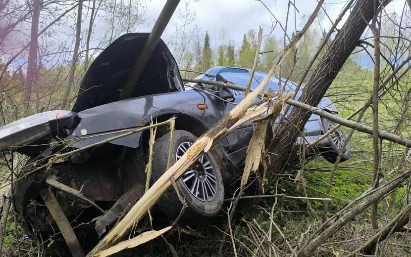Фото: Госавтоинспекция Удмуртии
