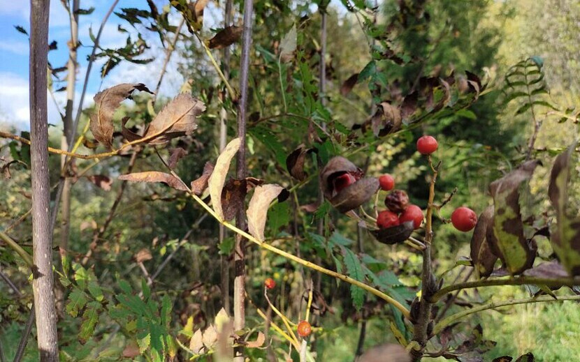 Фото: Таня Трушкова