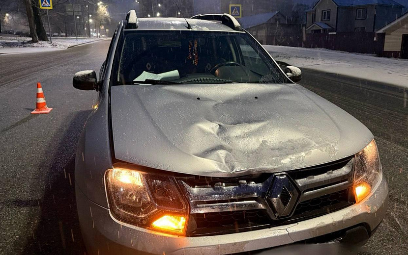 Фото: Госавтоинспекция Удмуртии