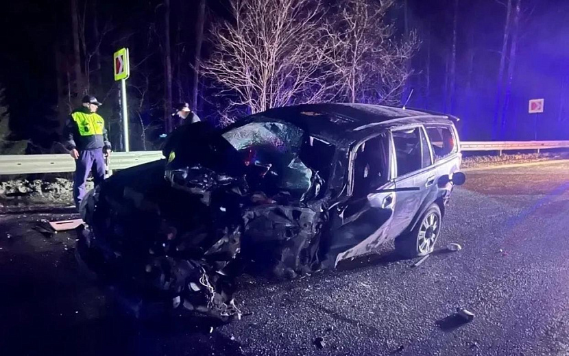 Фото: Госавтоинспекция Удмуртии