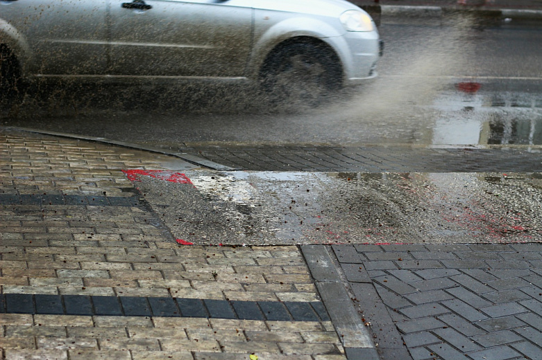 Фото: envato elements