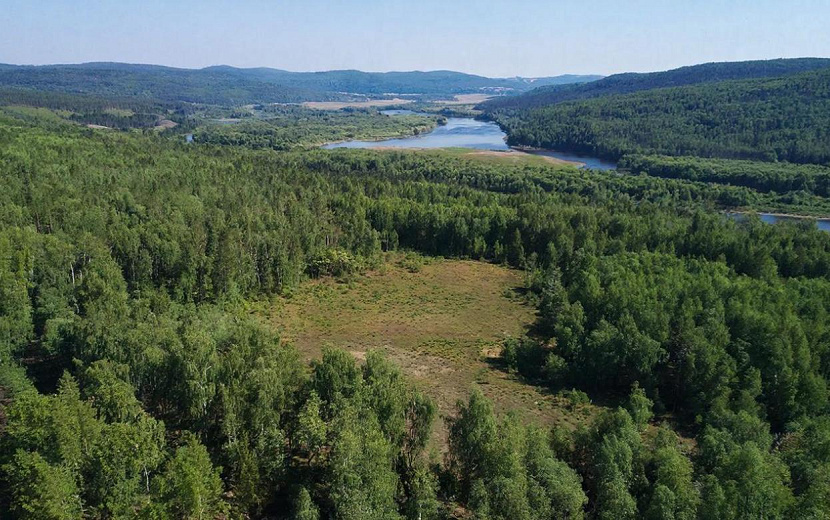 Фото: нейросеть