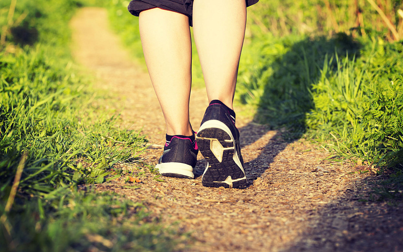 Фото: envato.com