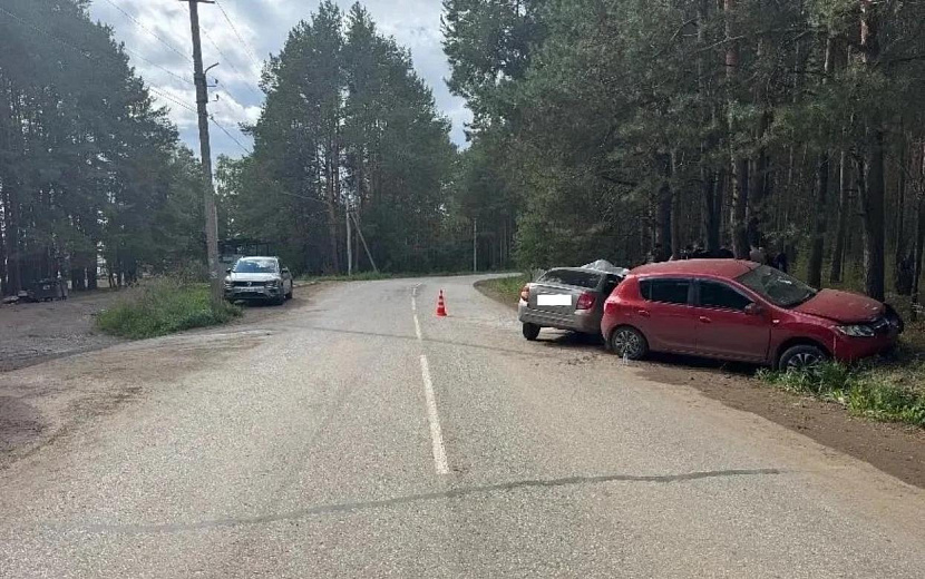 Фото: Госавтоинспекция Удмуртии