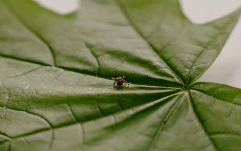 Фото: Мария Бакланова