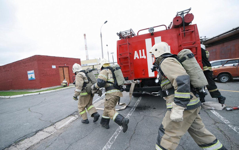Фото: Сергей Грачев 