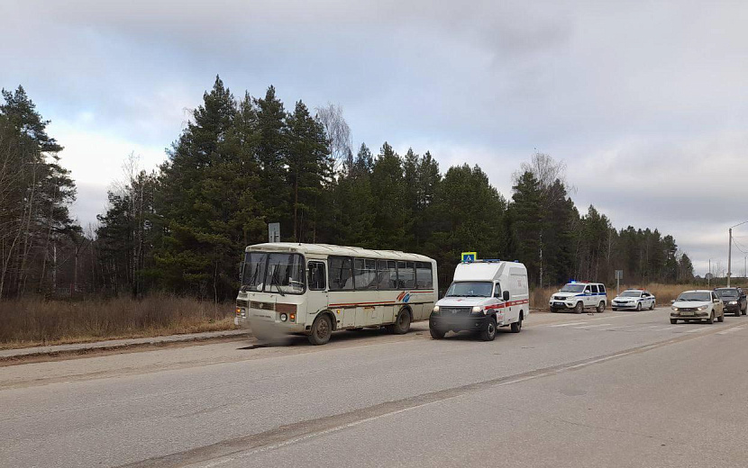 Фото: Госавтоинспекция Удмуртии