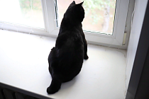 Гороскоп на день: 2 июля Весы почти добрались до цели, а Козерогам надо бы бояться своих желаний