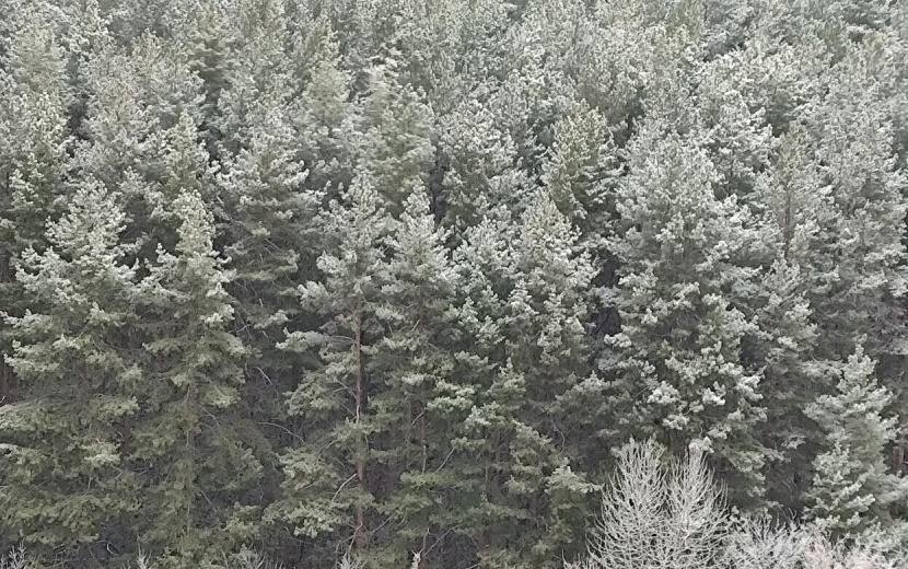 Фото: Таня Трушкова