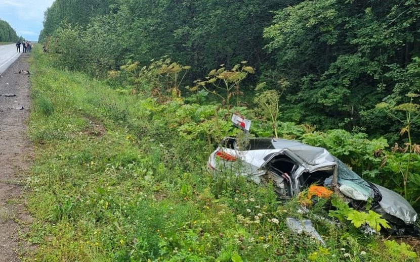 Фото: 1-й отдел УГИБДД по Удмуртии