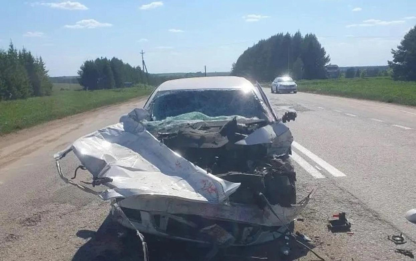 Фото: Госавтоинспекция Удмуртии