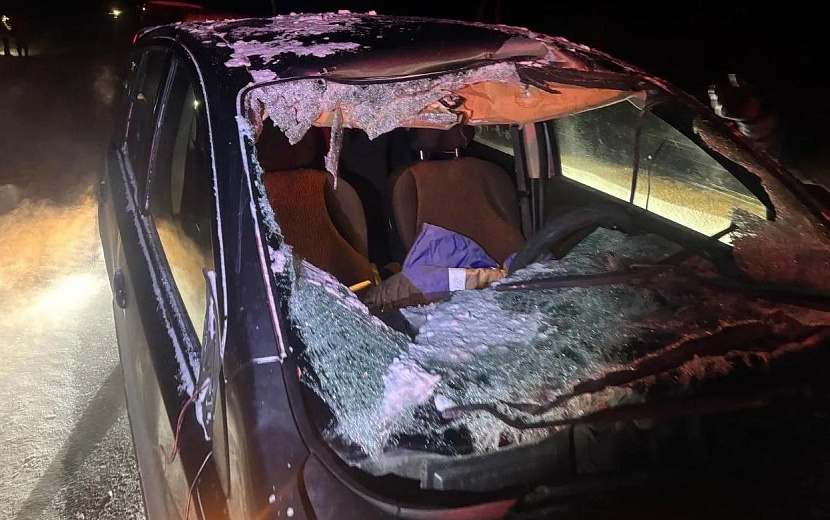 Фото: Госавтоинспекция Удмуртии