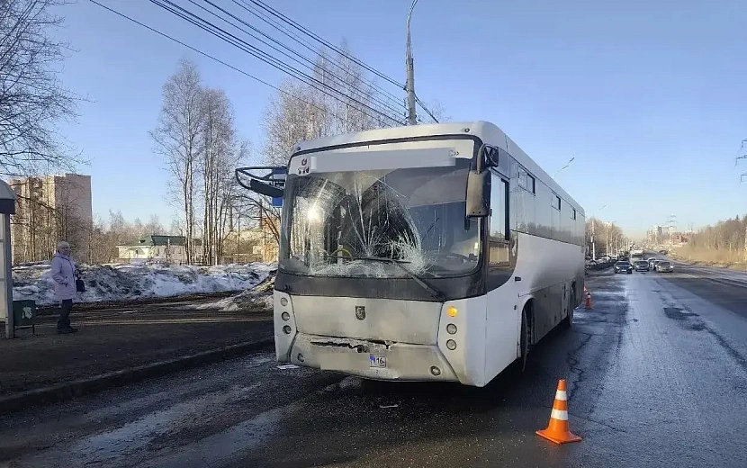 Фото: Госавтоинспекция Удмуртии