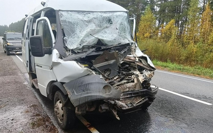 Фото: vk.com/gibdd_uva