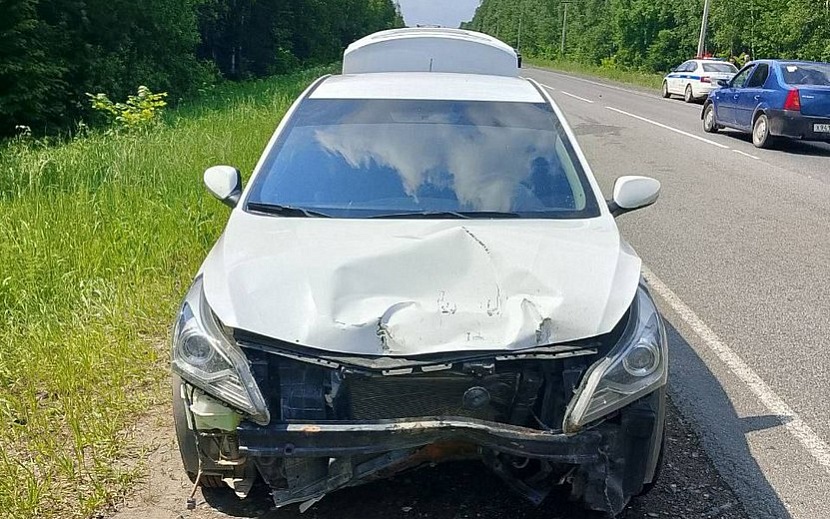 Фото: Госавтоинспекция Удмуртии